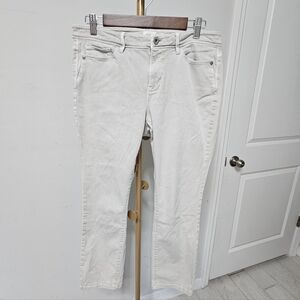 J. Jill Denim Authentic Fit Slim Ankle Taupe Jeans‎ 10Petite